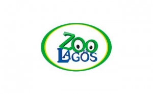 Celebra-se a 14 de julho o Dia Mundial do Chimpanzé