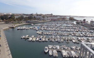 Câmara Municipal de Faro exige que Docapesca tome medidas urgentes na Doca de Recreio
