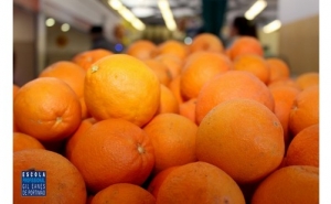 Mercado Avenida São João de Deus dedica semana à laranja algarvia pelo 10.º ano consecutivo