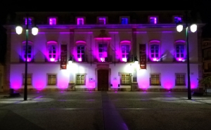 Iluminação lilás de edifícios públicos assinala em Portimão o Dia Mundial da Prematuridade