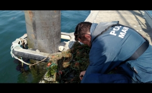 Polícia Marítima apreende rede com cerca de 100 metros na Ria Formosa