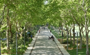 «BORA LÁ AO PARQUE!» PROMOVE ATIVIDADES E ANIMAÇÃO PARA A COMUNIDADE NO PARQUE MUNICIPAL DE LOULÉ