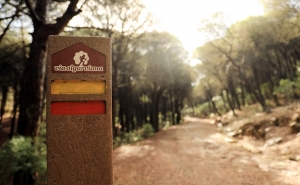 Iniciação aos Percursos na Natureza e à Patinagem para os alunos do 1.º Ciclo