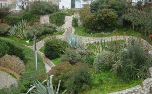ESPAÇOS VERDES DE PORTIMÃO VÃO SER RECUPERADOS E CUIDADOS