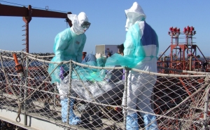 Porto de Sines palco de exercício para testar a resposta a um caso suspeito de ébola