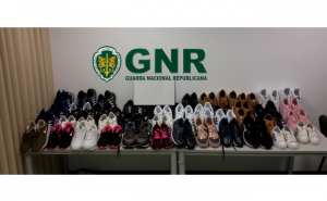 Apreendidos 47 artigos contrafeitos   