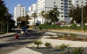 Avenida V3 mais bonita, mais funcional e mais sustentável