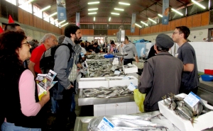 PCP com as populações em defesa da Ria Formosa e da actividade produtiva