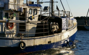 Covid-19: Promulgado diploma que cria linha de crédito para o setor da pesca