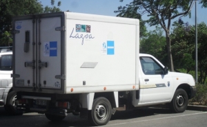 Campanha do Banco Alimentar Contra a Fome, no Algarve, contou com a colaboração da Câmara de Lagoa
