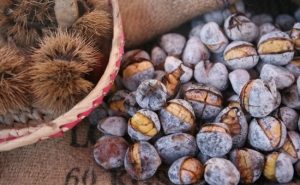 354ª Feira de São Martinho