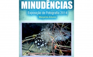 Alcoutim recebe a exposição «Minudências» de Margarida Antunes