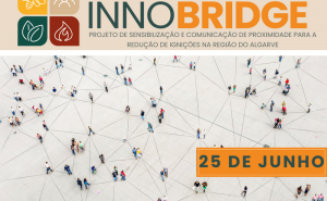 CONFERÊNCIA FINAL INNOBRIDGE 