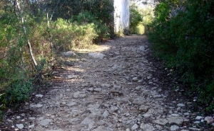 Ciclo de Passeios Natureza de São Brás de Alportel convida a viajar no tempo