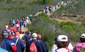 Alcoutim convida munícipes a praticar exercício físico nas noites de verão