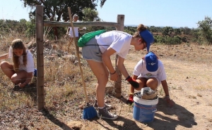 Mexe-te OJOVEM  MUNICÍPIO DE ODEMIRA PROMOVE PROJETO DE VOLUNTARIADO JOVEM