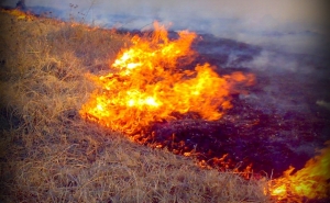 Incêndios: Fogo em Aljezur dado como extinto mas dispositivo mantém-se no terreno