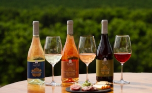 Portimão reforça estratégia no Enoturismo