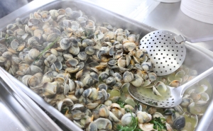 Berbigão é «rei» durante o Festival da Figueira 8 e 9 setembro