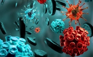 Infeções causadas por bactérias resistentes a antibióticos podem originar mais de 40 mil mortes em Portugal até 2050