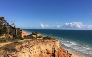 Taxa de ocupação no Algarve aumentou 7% em 2016 com britânicos na liderança