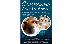 Município de Olhão lança repto para adotar amigos de 4 patas