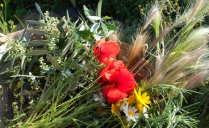 ALJEZUR -“APANHAR A ESPIGA”