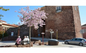 3.ª FASE DA REABILITAÇÃO DO CENTRO HISTÓRICO DE SILVES TERÁ INÍCIO A 6 DE NOVEMBRO