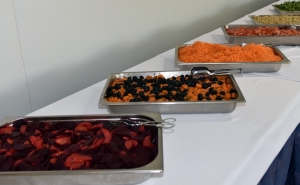 LOULÉ RECEBE SEGUNDA EDIÇÃO DE SEMINÁRIO SOBRE REFEIÇÕES VEGETARIANAS PARA CRIANÇAS EM CONTEXTO ESCOLAR