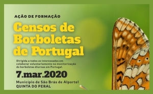 São Brás de Alportel recebe formação sobre censos de borboletas em Portugal 
