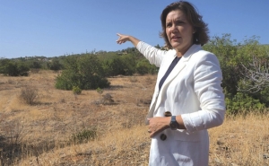 Eleições: CDS procura «pedra» do prometido Hospital do Algarve 