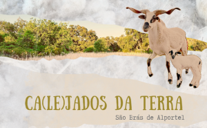 Convite para performance coletiva para o documentário: «Ca(le)jados da Terra» 