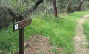 Serra do Caldeirão | «O ninho» acolhe caminhantes no próximo domingo