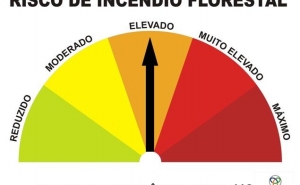 Cinco concelhos de Faro, Santarém e Castelo Branco sob risco muito elevado de incêndio