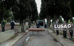 Covid-19: Lares de idosos com 477 mortes, maioria na região Norte