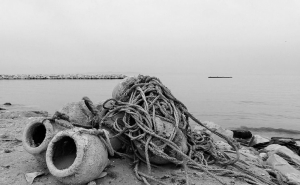 Demonstração culinária dedicada ao polvo