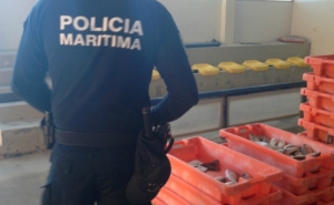 Polícia Marítima de Tavira apreende cerca de 50 kg de pescado ilegal