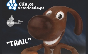 Vilamoura promove 5.º Dog Walking solidário