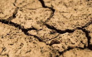 SITUAÇÃO DE SECA AGRAVA-SE EM PORTUGAL