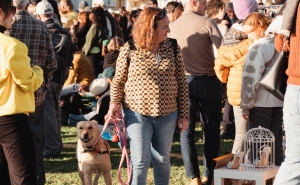 Festival Sol de Inverno 2026  