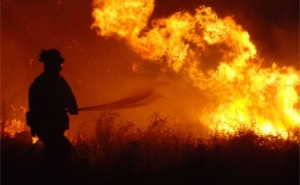 Proteção Civil | Algarve com 445 combatentes na fase mais crítica dos incêndios