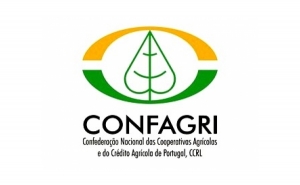 Confederação das Cooperativas Agrícolas e do Crédito Agrícola reúne com o Ministro da Agricultura