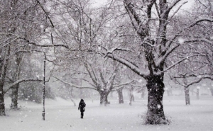 Inverno começa na terça-feira, às 04:48