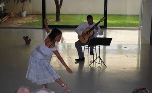 Villa-Lobos em Movimento