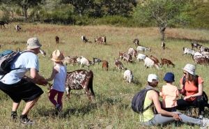 Festival de Caminhadas de Alcoutim atrai mais de 600 participantes 