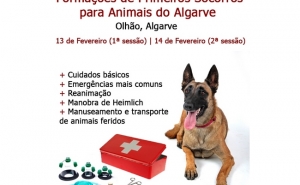 Olhão pioneiro na região em formação de primeiros socorros para animais