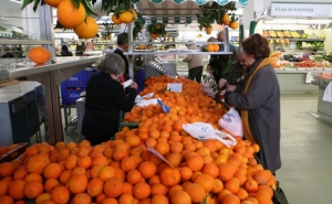 Mercado da Av. S. João de Deus promove Festa da Laranja pelo 8.º ano consecutivo