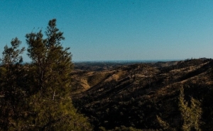 MONCHIQUE OPEN TRAIL 2019: UM DESAFIO NA SERRA ALGARVIA