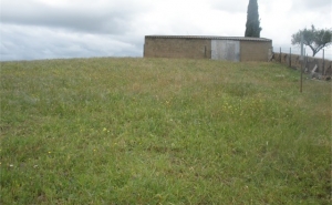 NOVO DECRETO-LEI DA LEGISLAÇÃO DAS CONSTRUÇÕES RURAIS