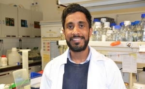 INVESTIGADOR DA UALG